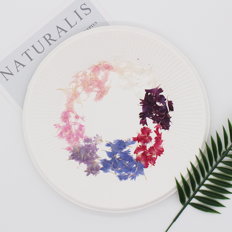 20 Plant Specimens, Cornflower – Resin Art Sticker recenzja i cena