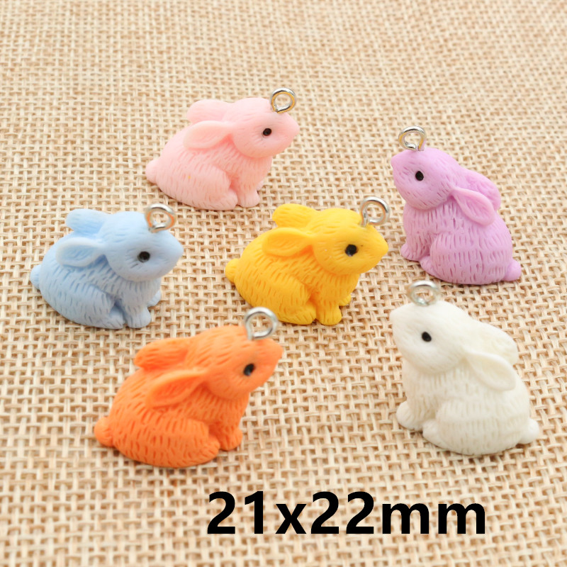 10PCS Resin Pendant Charms Rab – Resin Art Notes recenzja i cena